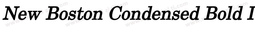 New Boston Condensed Bold Italic字体转换